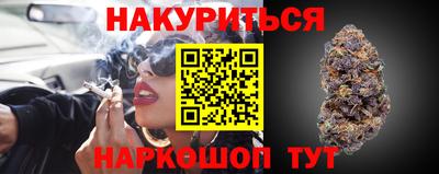 apvp Краснодар