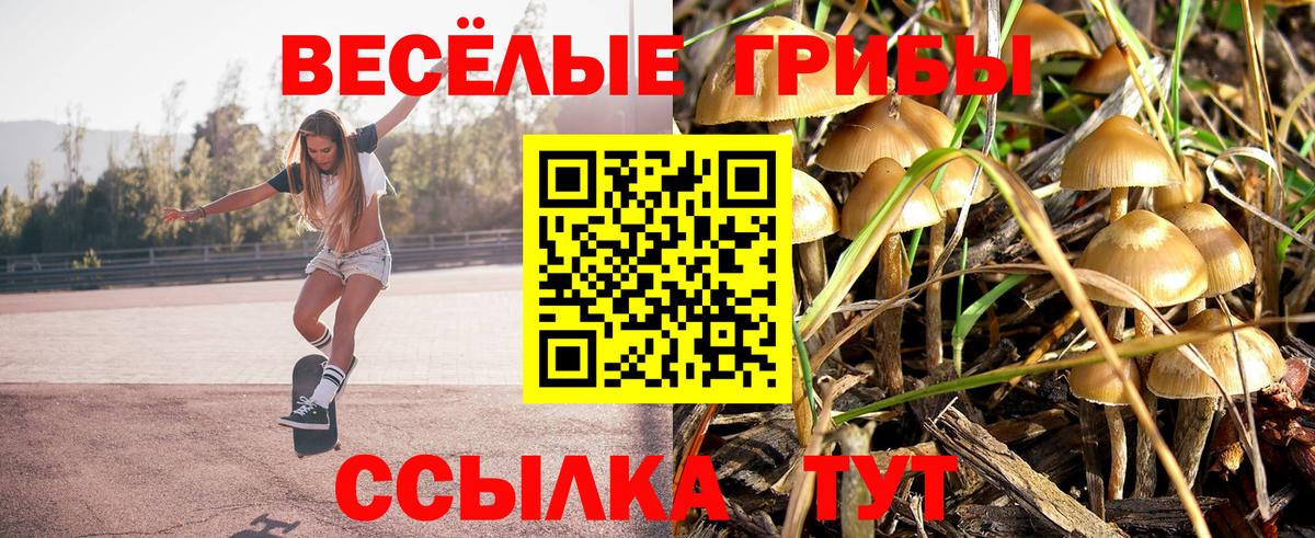 Псилоцибиновые грибы прущие грибы  Вход с VPN  Донецк 